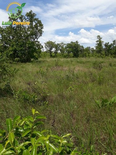 Imagem 1 de 15 de Fazenda À Venda Em São Valério - To - De 624 Hectares (dupla Aptidão) - 1777