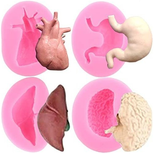 Zixiang Moldes De Silicona De Órganos Humanos Para Hígado
