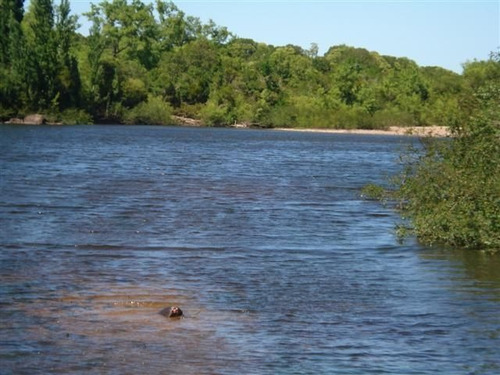 Campo En Venta En None