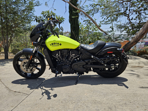 Indian Scout Rogue