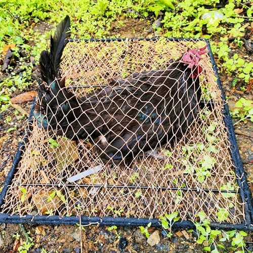 Trampa Para Pájaros, Paloma, Gorrión, Codorniz, Pollo, Contr