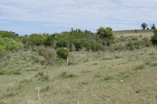 Ruta 39, A 47 Km De Punta Del Este, Venta De Campo Ganadero, Muy Panorámico Y Con Cañadas.
