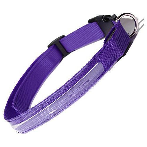 Paws & Pals Collar Led Para Mascotas Con Luz De Color Interm