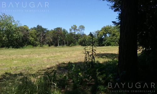 ¡oportunidad Única! Venta De Fracción De 40.000 M² En Pilar Ideal Para Desarrollo