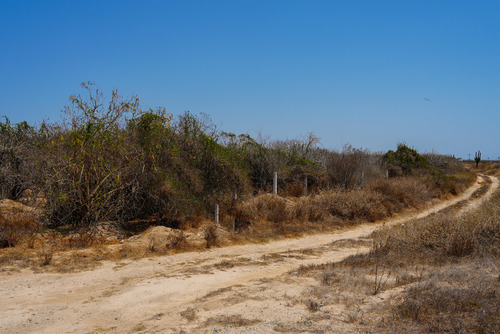 Km19 Carr. Transpeninsular, Lote San Pedro