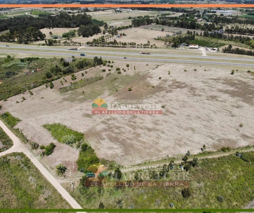 Imagen 4 de 14 de Terreno En Alquiler 44.857 M2 Urbanos Ruta 5 Apto Parque Industrial U$s 0.10 (el M2)