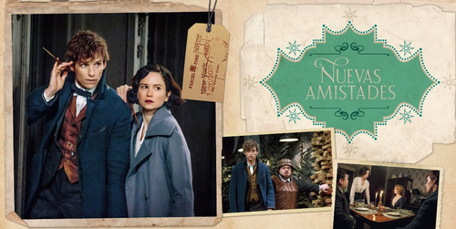 Imagen 6 de 9 de Wizarding World: Newt Scamander. Un Álbum De La Película
