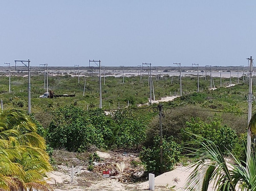 Imagen 20 de 24 de Terreno En Playa Chicxulub En Venta. Con Acceso A La Playa