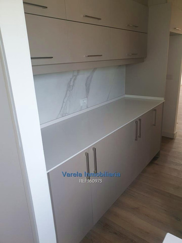 Apartamento Malvín Alquiler 2 Dorm Terraza Parrillero 2 Bañ