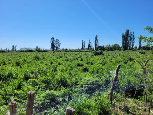 Terreno De 2,5 Há, En Cuñibal, Cercano A Los Ángeles