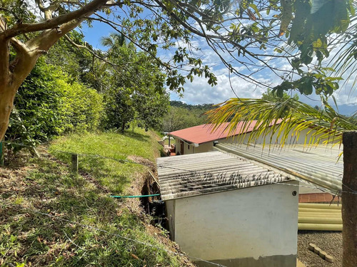 Imagen 27 de 30 de Espectacular Finca Clima Caliente En Venta Porce
