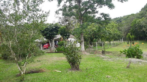 Imagem 10 de 15 de Sítio / Chácara Para Venda Em Paranaguá, Zona Rural, 6 Dormitórios, 3 Banheiros, 1 Vaga - 57_2-1158859