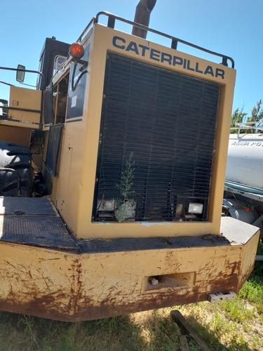 Caterpillar