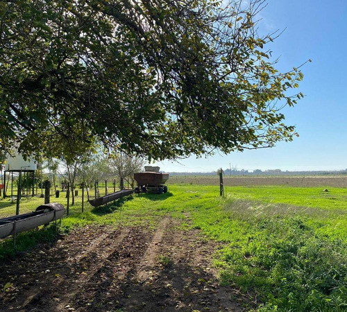 Campo Mixto 36has San Nicolas