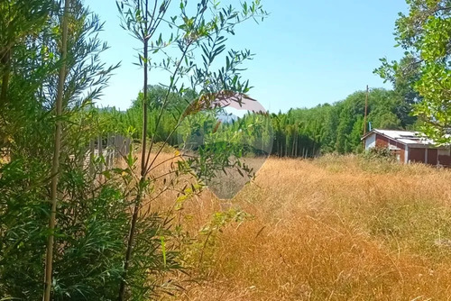 Venta Parcela De Campo Catripulli, Curarrehue