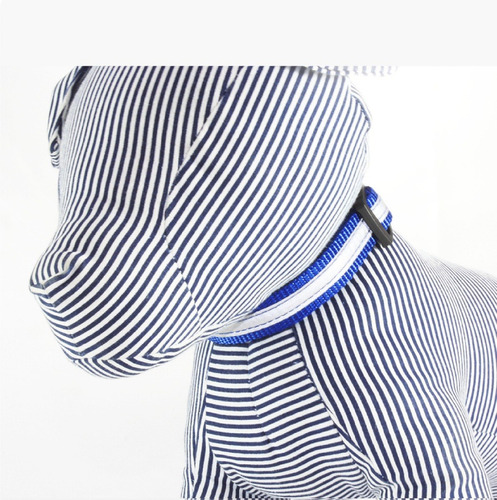 Collar Reflejante Para Perro Azul - Mediano