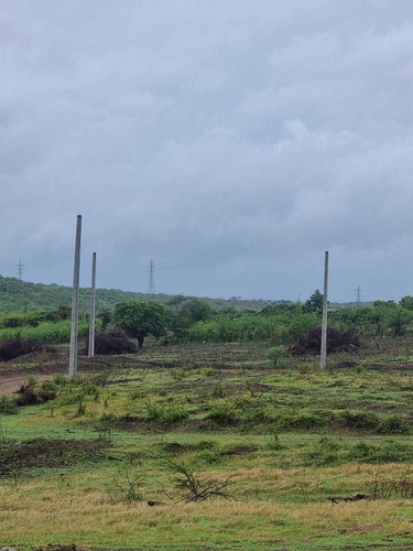 Imagen 9 de 13 de Terrenos Desde 1,500 Metros Baní A 600 Pesos Mt2