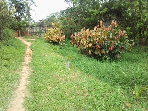 Imagen 2 de 10 de Finca En Sector Las Palmas Cod. Indif-067