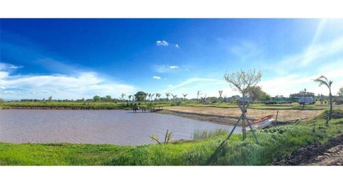 Lote N° 5 En Venta. Campos De La Enriqueta