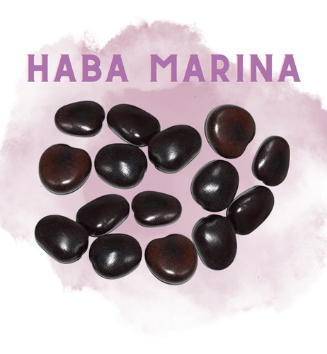 Haba Marina Semilla Corazón De Chango Shango 500 Gr