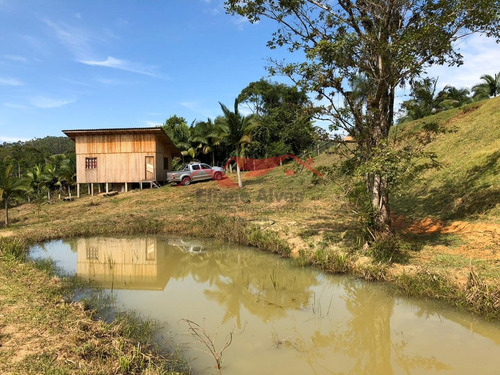 Imagem 7 de 15 de Chácara Em Canelinha - Canelinha, Sc - 129
