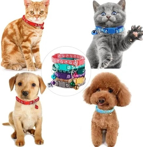 Lll A Collares De Identificación For Cachorros 19 Piezas
