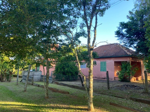 Chácara 8.000 M² - Lomba Grande - Novo Hamburgo - Rs - 2489 - 68909962