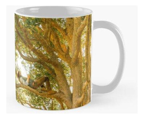 Taza Magnífico Árbol En El Campo Calidad Premium