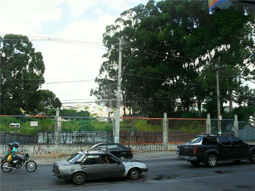Imagem 8 de 8 de Venda Terreno São Paulo Vila Jaraguá - T39