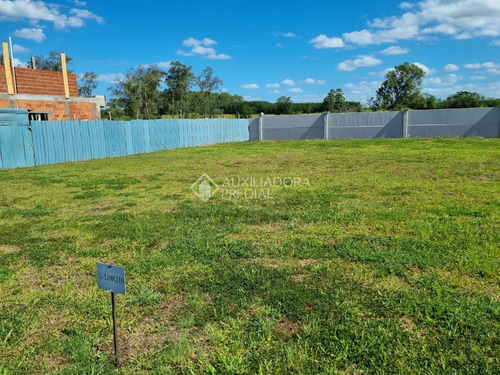 Imagem 5 de 9 de Terreno Em Condominio - Sanga Funda - Ref: 368304 - V-368304