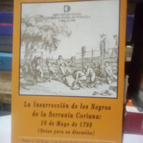 Insurrección De Los Negros Serranía Decoro 1795