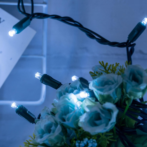 Luces Navideñas Led De 5 Mm De Yuletime, 33 Pies 100 Recuent