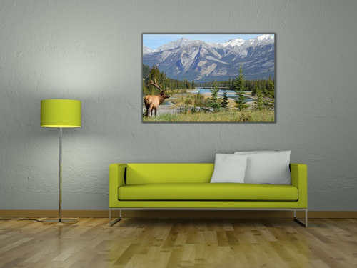 Cuadro Moderno Canvas, Parque Jasper Alberta Cananda