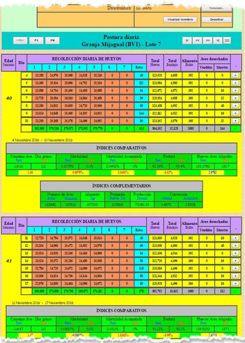 Sistema De Contabilidad Avícola Sicatt - Gallinas Ponedoras