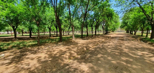 Imagen 3 de 27 de Venta Lotes Los Fresnos Barrio Cerrado Privado, Virrey Del Pino, La Matanza