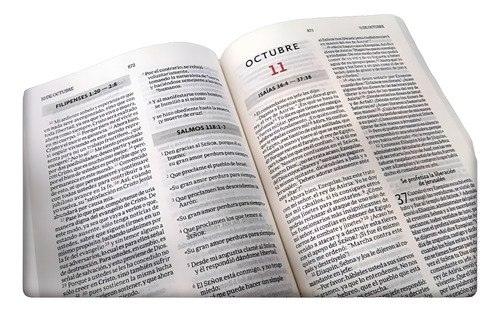 Biblia Para Leer En Un Año - Nvi - Tapa Rústica
