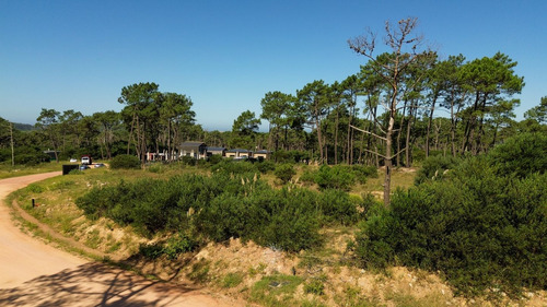 Terreno En Venta En Reserva Montoya (ref: Bpv-10362)