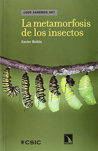 La Metamorfosis De Los Insectos -¿que Sabemos De?-