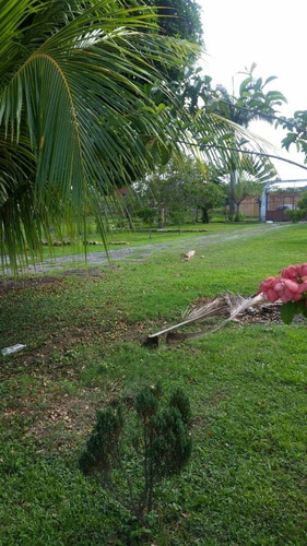 Imagen 9 de 11 de Altacasa Vende Excelente Minifinca En El Encanto