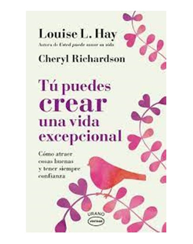 Libro Tu Puedes Crear Una Vida Excepcional