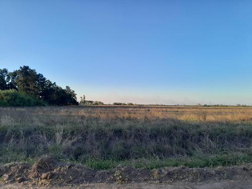 Terreno En Venta - 4 Hectareas - General Obligado