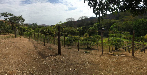 Imagen 29 de 30 de Parcela Con Bienhechurías En San Juan De Los Morros, Guárico