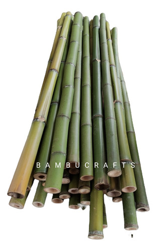 10 Varas De Bambú Natural Jardin 100 Cm Largo / 5cm Diametro