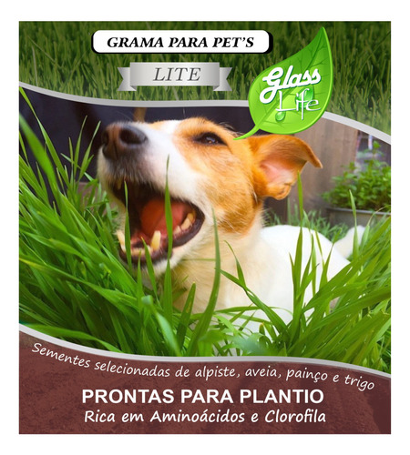 Kit C/ 5 Sementes De Grama P/ Cachorro Lite - Sem Agrotóxico