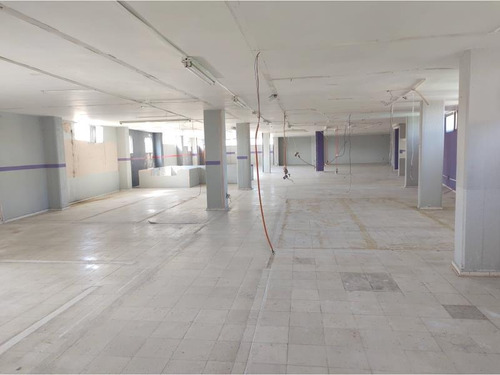 Imagen 9 de 12 de Local Comercial En Renta Arcim