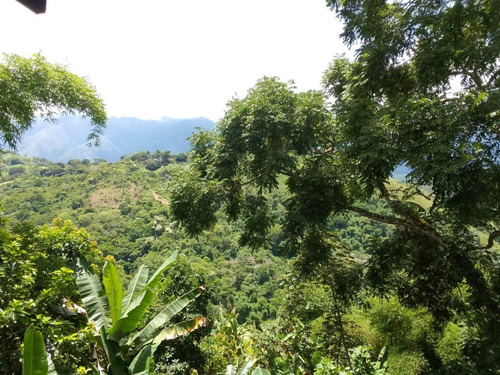 Imagen 11 de 13 de De Oportunidad Venta Hermosa Quinta En Karimao Country