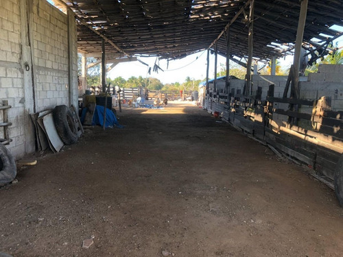 Imagen 6 de 16 de Terreno En Venta En Puerto Progreso, Yucatán