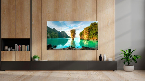 LG Television De 55'' Class Oled 4k Uhd Smart Tv Oled55a1aua (Reacondicionado)