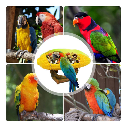 Creativo Para Loros Para Pájaros Con De Fruta Y Jaula Con So