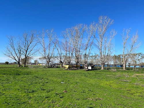 Parcela / Quinta / Chacra / Lote De 1 Ha. (10.000 M2) En Venta. Excelente Ubicación De General Belgrano. Zona De Calle 111 Y 178, Sociedad Rural.